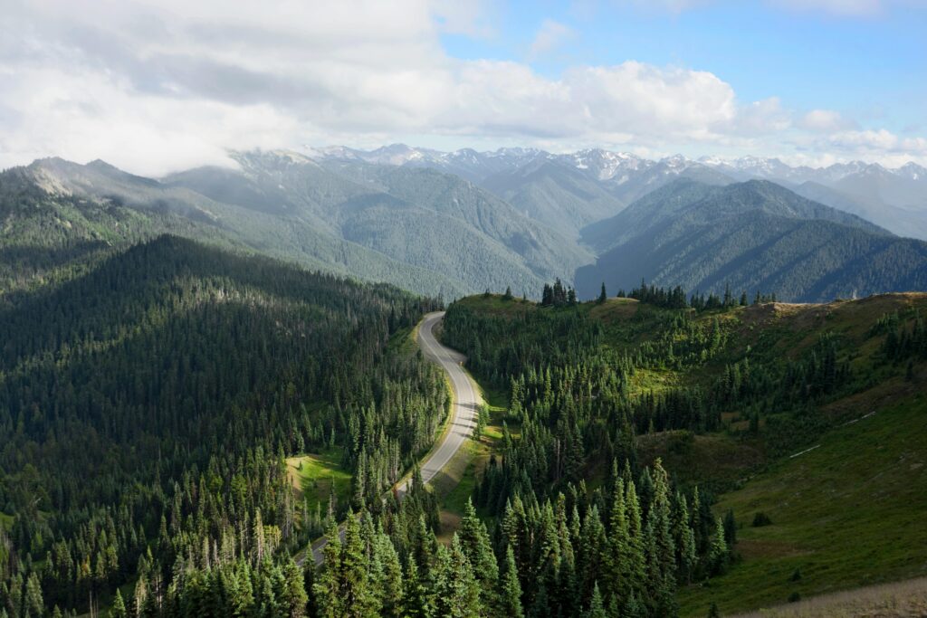 Aerial panorama of lush green landscapes in Olympic National Park, Washington.